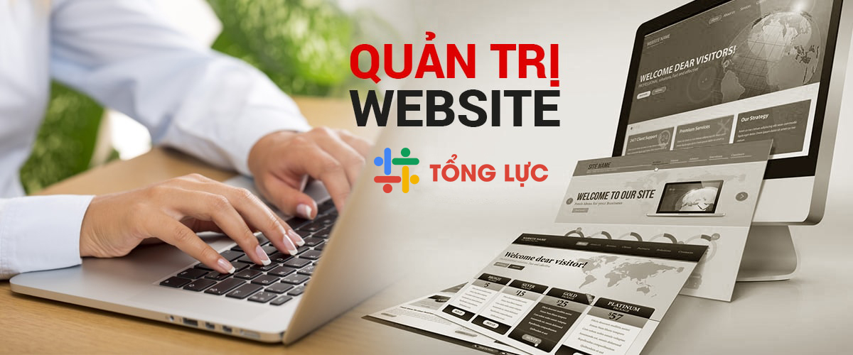 Dịch vụ quản trị website chuyên nghiệp Tổng Lực là lựa chọn hàng đầu của doanh nghiệp